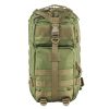 Vism Small Backpack/Green With Tan Trim