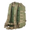 Vism Small Backpack/Green With Tan Trim