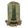 Vism Small Backpack/Green With Tan Trim